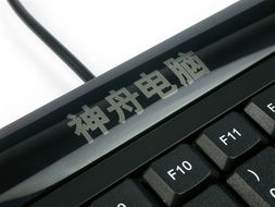 神舟唐朝 F100 一體電腦 簡(jiǎn)潔高效的辦公與家用桌面解決方案